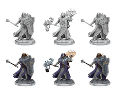 DND FRAMEWORKS: HUMAN CLERIC MALE